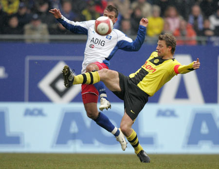 家众说纷纭 家众说纷纭